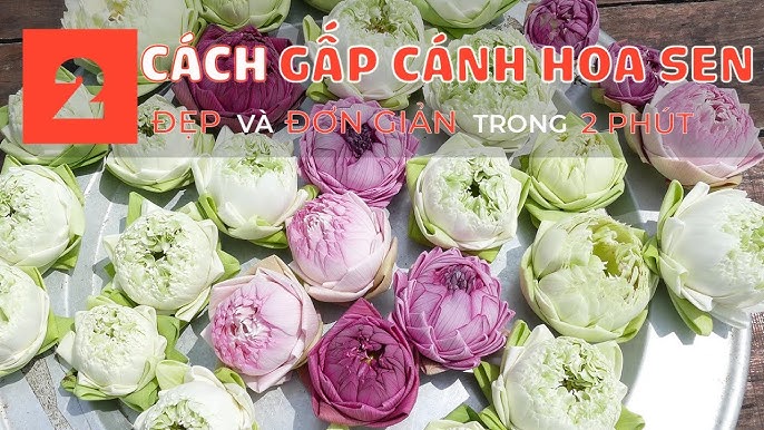 Chuẩn bị vật liệu cách gấp cánh hoa sen tươi