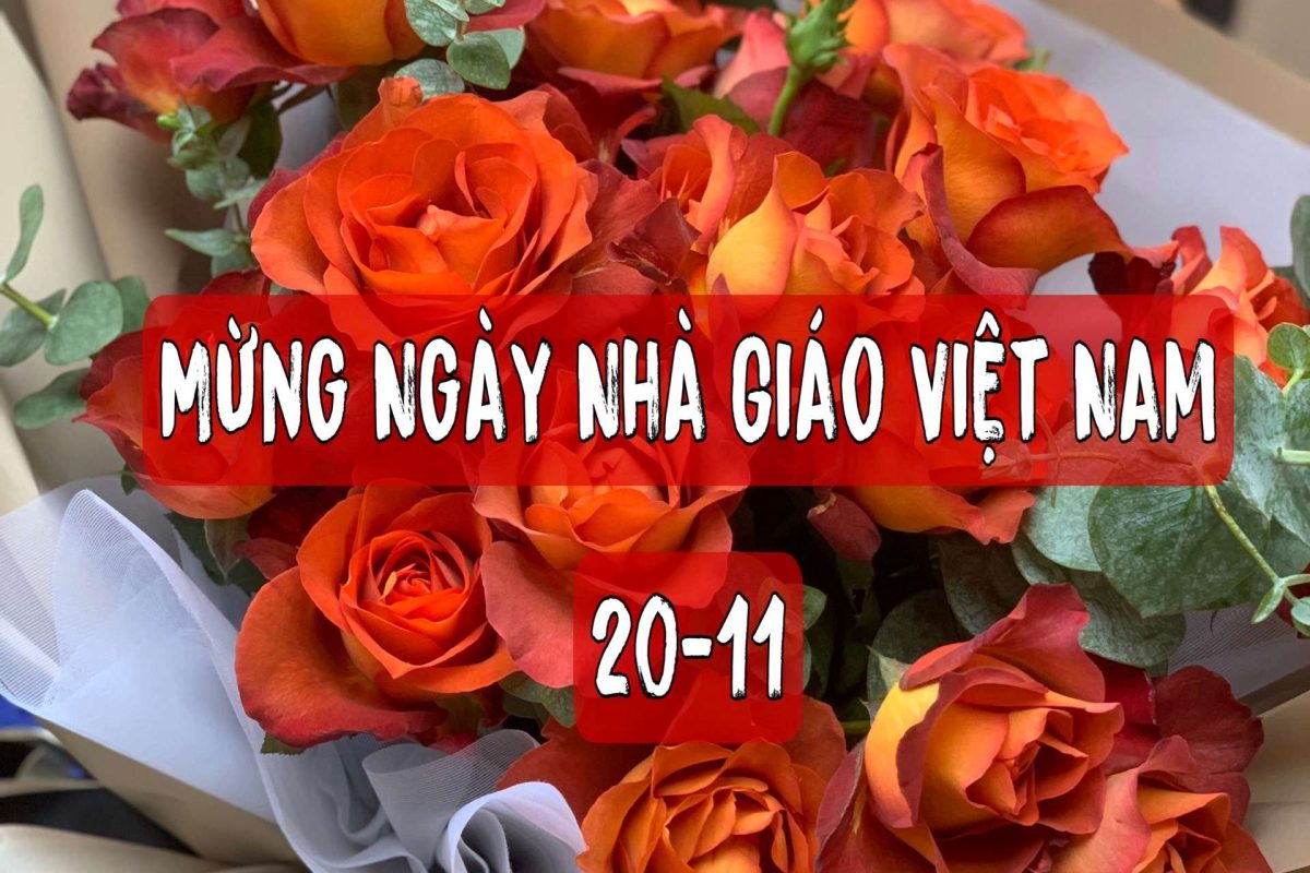 Hoa tươi chúc mừng 20/11